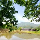 남원 실상사 증각대사탑비 | ☘️2025년 늦봄의 실상사 (지리산. 남원)