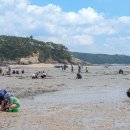 선재어촌체험휴양마을 | 선재어촌체험휴양마을