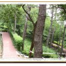 금련산청소년수련원 이미지