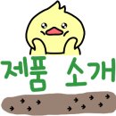 누리애드 이미지