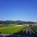 탄부초 사직분교 이미지