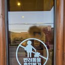 우트우트 | [강화도 카페] 우트우트 방문 후기!!
