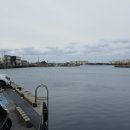 무릉리-11 이미지