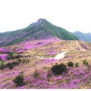 군자주단 이미지