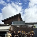 스텔라토 이미지