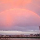 세운버스 이미지