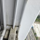 세븐일레븐 다산안강럭스나인점 | 안강럭스나인 입주청소 다산 오피스텔 직접 다녀온 깔끔후기