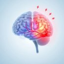 (주)플러스랩에스 이미지