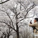 봄을담다 이미지