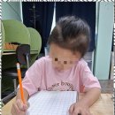 프린스턴영어수학보습학원 | 수학학원 아이들을 위한 최고의 선택, 열매보습학원 후기