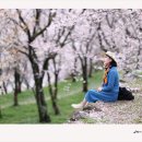 4/4 ~ 4/5 남해여행(sample) 이미지