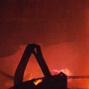 진화목장 이미지