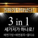 데일리독 이미지