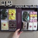 떡뜰날 | 서유네의 맛집일기 ▶ 군산 - 떡뜰(수송동, 롯데마트 근처, 주차장 정보○, 답례용떡, 돌백일떡, 선물용떡)