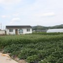 다문북길 이미지