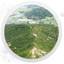 동천교 남쪽 | 미션2 -충남 아산시-배태망설 종주 및 광덕산 연개산행-중상급-20131206