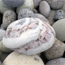 내도알작지 이미지