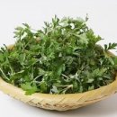 이성훈한의원 이미지