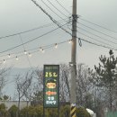 구워라생오리전문점 | 부산강서구뷰맛집 대저생태공원 근처 오리전문점 152