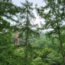 흔들목장 이미지