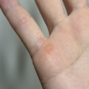 삼일광고디자인 - 아산시 번영로 153-2 | 비쎌 스팀청소기 / 일년 사용 후기 !!!