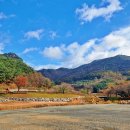 봉학골산림욕장 이미지