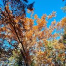 성진목장 이미지