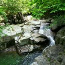 계곡&풍경 이미지