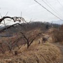 원주굽이길 원13코스 무실과수원길 이미지