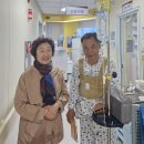 은혜와 진리교회 앞 | 양주진리교회 소식 (2025. 4월)