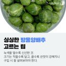 으뜸푸드