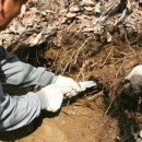 서초한의원 이미지