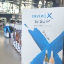 세이리티 | [인비보 X 사라 제시카 파커] 한강을 바라보며 즐기는 트렌디한 와인 (행사 후기/ 가격/ 판매처)