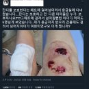 ※사진 중간 피있음※ 운영 개판이었던 부산엑스포유치기원공연 (장애인화장실VIP전용, 정치인노마스크, 초대권 노쇼, 안내스탭 탈주 등) 이미지