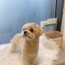 나리울 동물병원 이미지