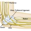 효자촌온한의원 이미지