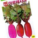 샐러립 이미지