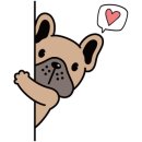 개멍물멍 이미지