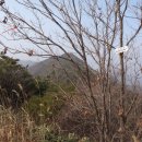 진원면사무소 이미지