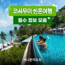 선트리컨설팅 | 코사무이 신혼여행 필수 정보 모음 zip