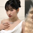 수네일 이미지