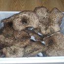 서구-01-122 이미지