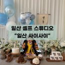 일산 셀프스튜디오 &#34;일산 사이사이&#34; 셀프 돌, 기념일 사진 추천!