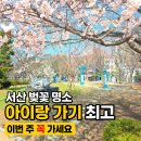 장자호수공원(광장 중앙) | 서산 중앙호수공원 벚꽃 나들이, 아이들과 봄 산책하기 딱 좋은 곳!