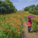마루메밀 - 미추홀구 인주대로 162 | 마루메밀
