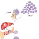 크리스짐 이미지