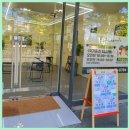 그린펫그루밍 이미지