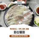 대구횟집 | 대구침산동맛집 회신물회 아이와 함께 다녀온 대구횟집 가족 외식 후기