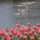 아크릴화 힐링 클래스 이미지