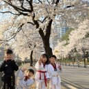 경희대석사창현태권도장 이미지